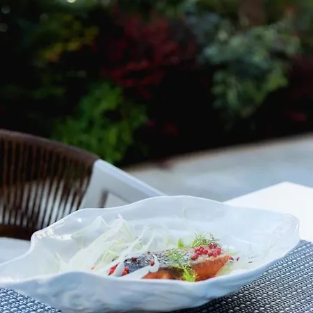 Olympia Vlore Radhimë