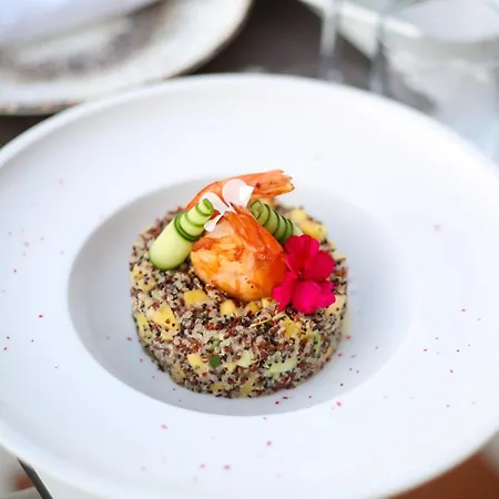 Olympia Vlore 4* Radhimë