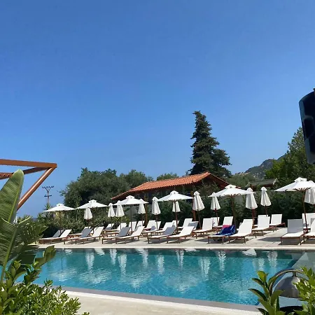 Olympia Vlore